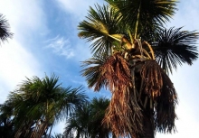 Imagen Reserva Natural La Manigua 